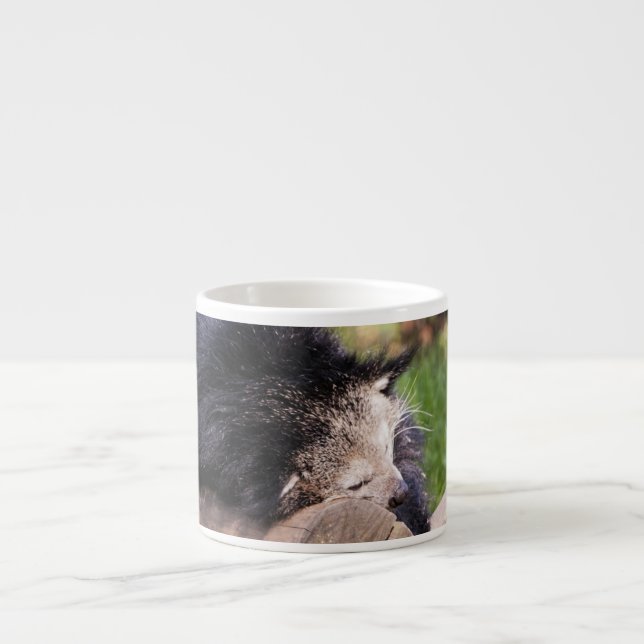 Xícara De Espresso Binturong dormindo (Frente)