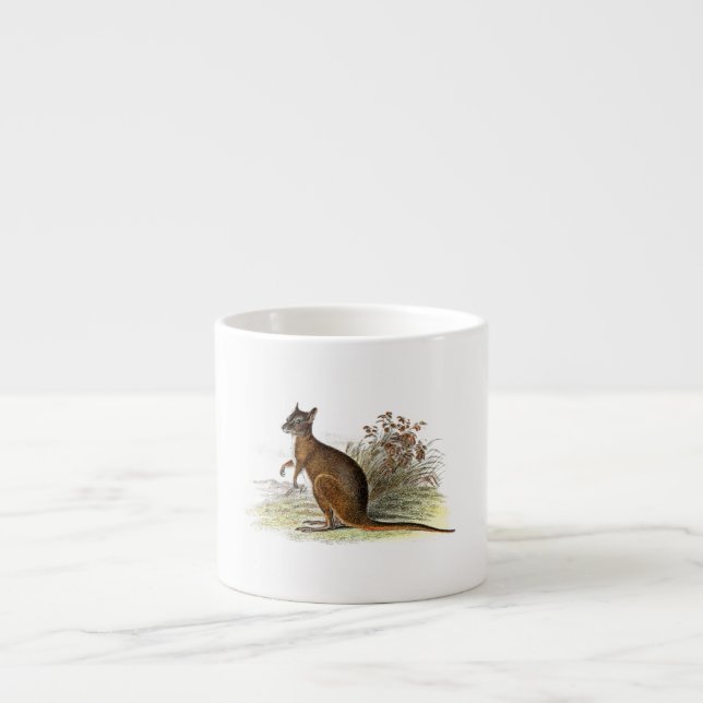 Xícara De Espresso Canguru da ilustração do Wallaby dos 1800s do (Frente)