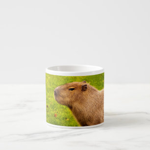 Xícara De Espresso Capivara