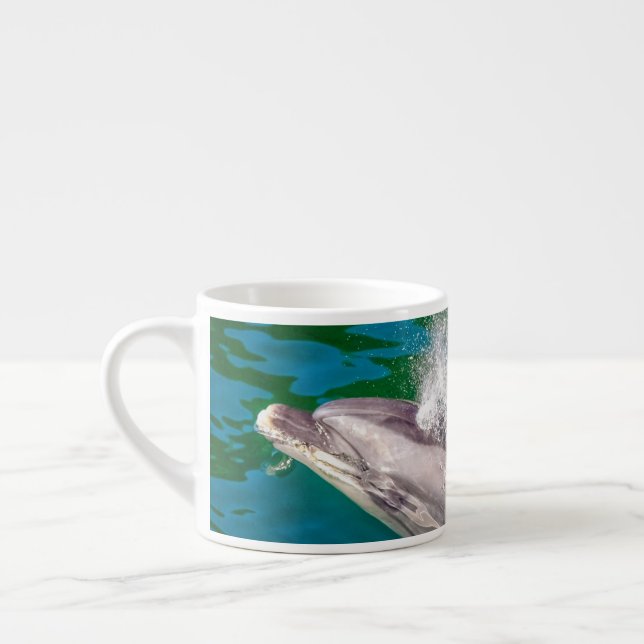 Xícara De Espresso Dolphin In Milford Sound, Nova Zelândia (Esquerda)
