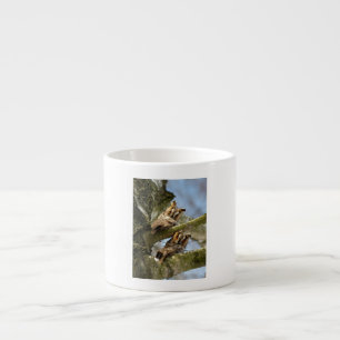 Xícara De Espresso Duas corujas nos bosques, aves, vida selvagem Espr