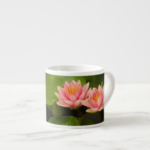 Xícara De Espresso Estados Unidos, DC, Washington, Kenilworth 4