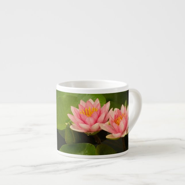 Xícara De Espresso Estados Unidos, DC, Washington, Kenilworth 4 (Frente Esquerda)