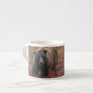 Xícara De Espresso EUA, Alasca, Parque Nacional Denali. Urso pardo
