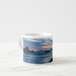 Xícara De Espresso EUA, Oregon, Praia de Bandon. Gaivota na rocha