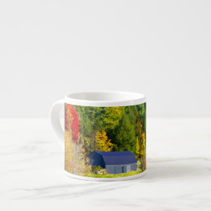 Xícara De Espresso EUA, Vermont. Folhagem de outono ao longo da rodov