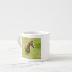 Xícara De Espresso EUA, Washington, Cavalo em Campo de Primavera,