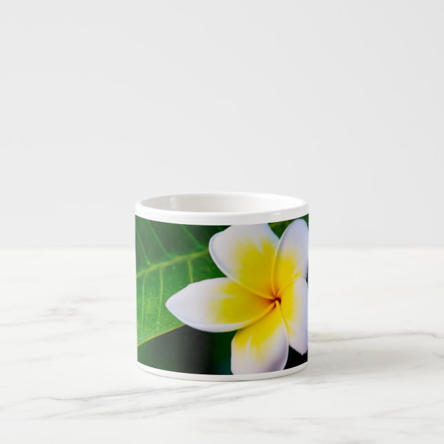 Xícara De Espresso Fotografia de Flor de Plumeria (Frente)