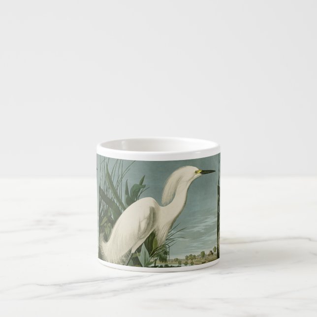 Xícara De Espresso Garça Branca de Audubon Ave de Passarinhos (Frente)