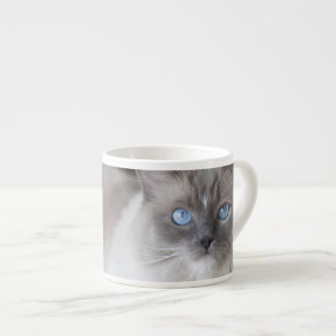 Xícara De Espresso Gata Ragdoll fêmea