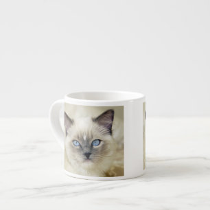 Xícara De Espresso Gatinho Ragdoll