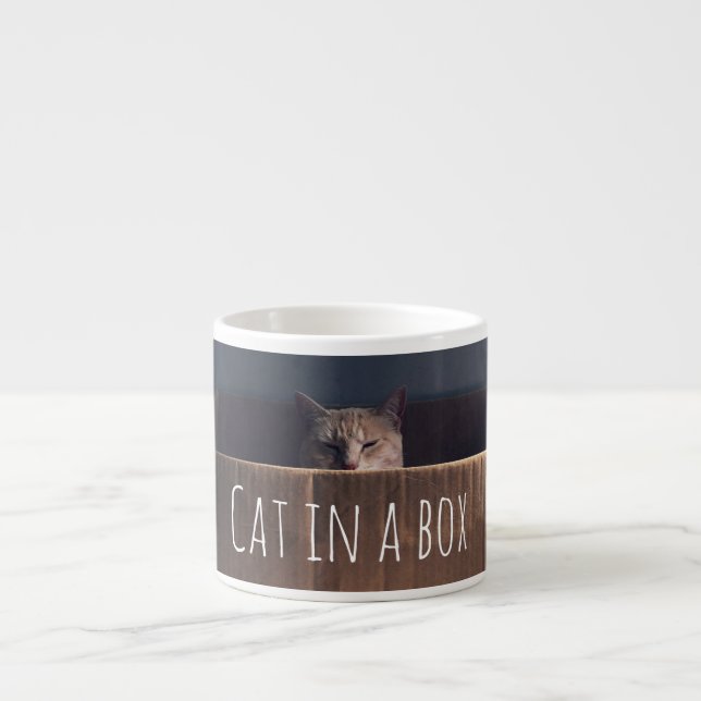 Xícara De Espresso Gato Em Uma Caixa (Frente)