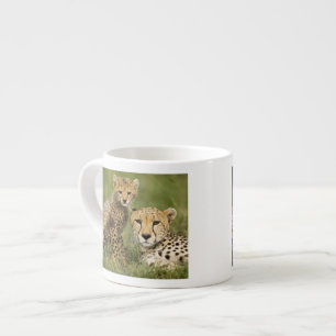 Xícara De Espresso Guepardo, Acinonyx jubatus, com filhote