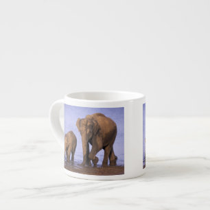 Xícara De Espresso Índia, Parque Nacional Nagarhole. Elefante asiátic
