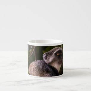 Xícara De Espresso Macaco azul, Zanzibar