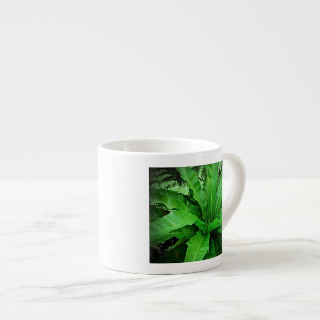 Xícara De Espresso Nest Fern de Bird (Frente Esquerda)