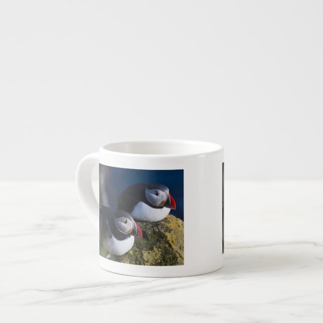 Xícara De Espresso Papagaio-do-mar (Frente Esquerda)