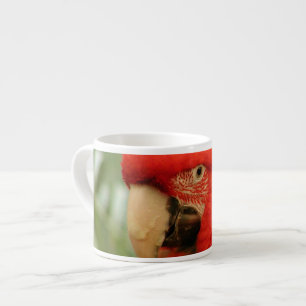 Xícara De Espresso Papagaio vermelho de Mackaw