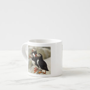 Xícara De Espresso Papagaios-do-mar no Atlântico na Ilha Machias Seal