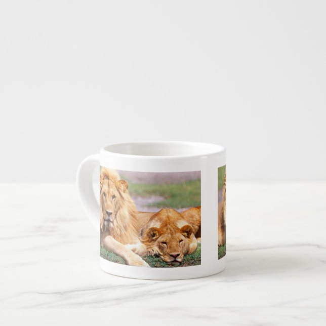 Xícara De Espresso Par de Leões Africanos, Panthera leo, Tanzânia (Frente Esquerda)