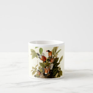 Xícara De Espresso Pássaro Americano Robin Wildlife
