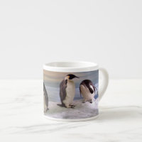 Pinguins de rei