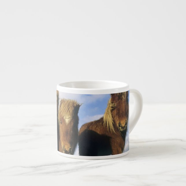 Xícara De Espresso Pônei Shetland, parte continental das Ilhas Shetla (Frente Esquerda)