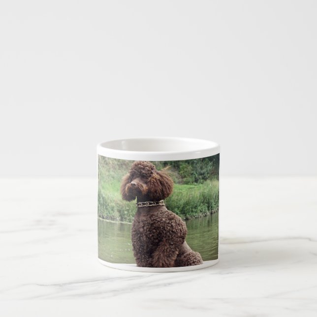 Xícara De Espresso poodle de chocolate sentado.png (Frente)