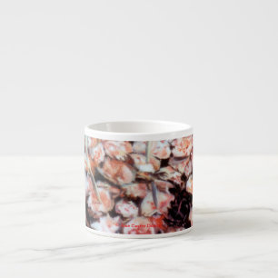 Xícara De Espresso Pulpo a la gallega