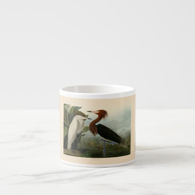 Xícara De Espresso Púrpura Heron Audubon Bird Willife Painting (Frente)