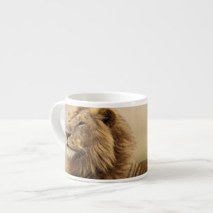 Xícara De Espresso Quênia, Masai Mara   Leão macho