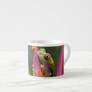 Xícara De Espresso Rã-arbórea-de-olho-vermelho, Costa Rica