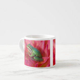 Xícara De Espresso Rã-arbórea-do-pacífico sobre flores em nosso jardi