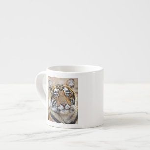 Xícara De Espresso Retrato do Tigre-de-bengala-real, Ranthambhor