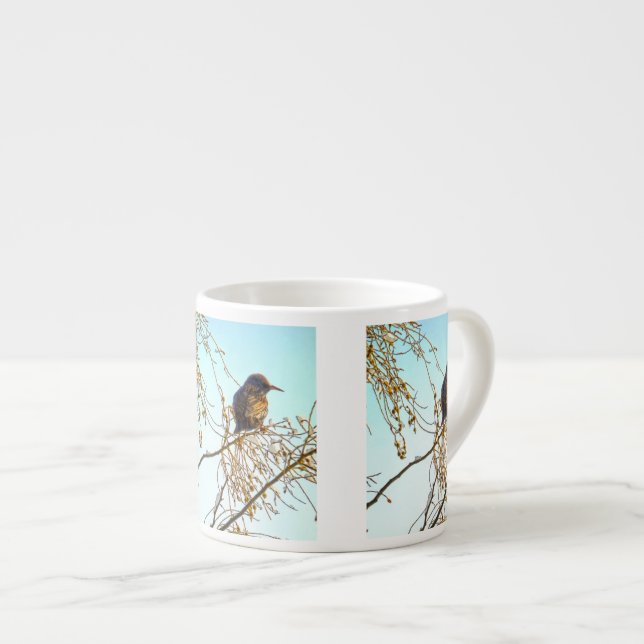 Xícara De Espresso Sparrow em uma ramificação de inverno (Frente Esquerda)