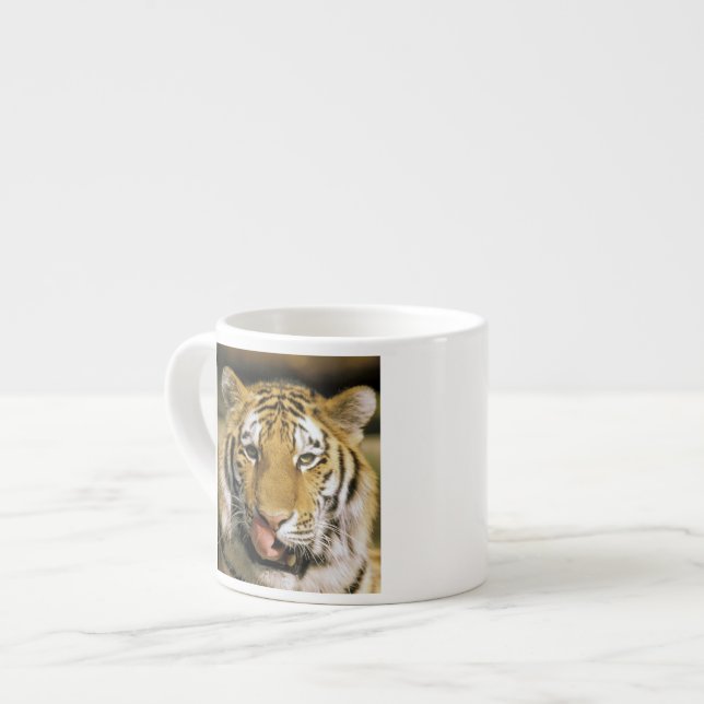 Xícara De Espresso Tigre Zoológico de Michigan (Frente Esquerda)