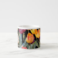 Tulipas coloridas, fundo preto isolado.