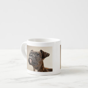 Xícara De Espresso Um filhote de cachorro rajado do pugilista que