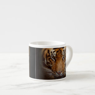 Xícara De Espresso Wild Tiger Face Espresso Café Mug