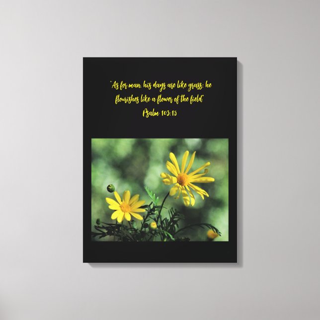 Yellow Aster Wildflowers Canvas Print (Frente)