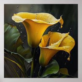 Yellow Calla Lily Lily Flower Art Poster
