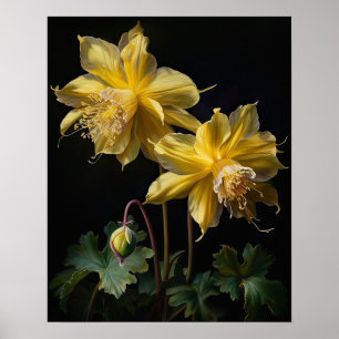 Yellow Columbine Flowers Art Impressão Poster