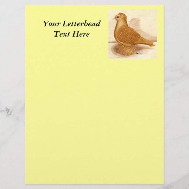 Yellow Friback Pigeon (Frente)