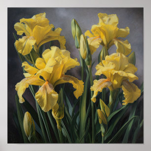 Yellow Iriss Flower Art Impressão