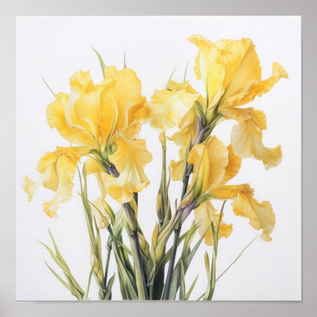 Yellow Iriss Flower Art Impressão (Frente)