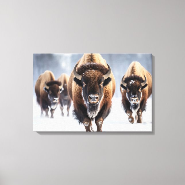 Yellowstone Bison Canvas Art (Frente)