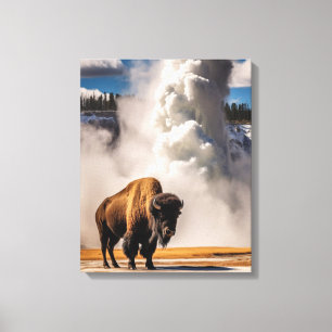 Yellowstone Bison Canvas Art
