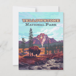 Yellowstone National Park Wyoming Bison