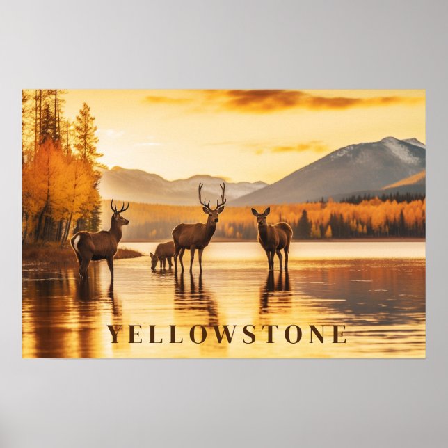 Yellowstone Poster Art (Frente)