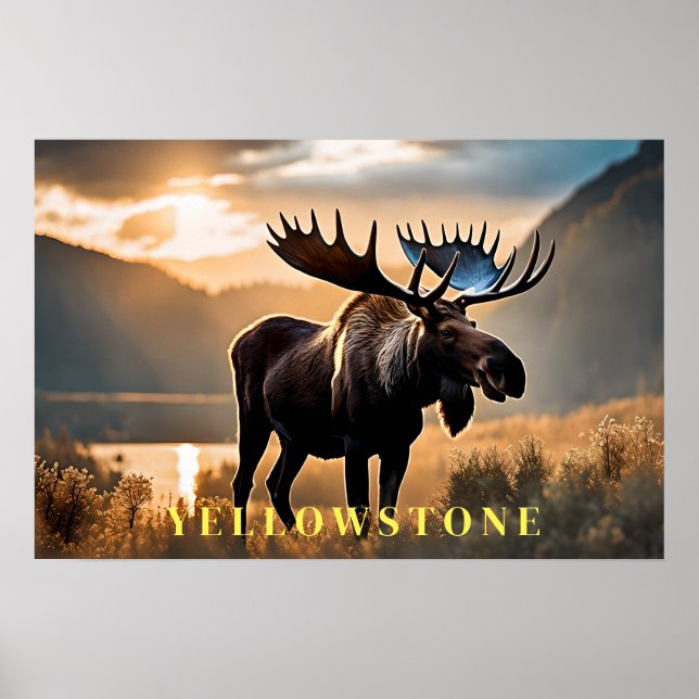 Yellowstone Poster Art (Frente)